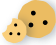 Cookie